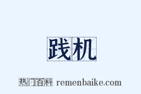 践机是什么意思的图片